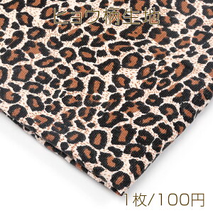 qEn Jbg Ip[hn |[` obO NbVJo[ɂ ͂ 50×75cm (1)