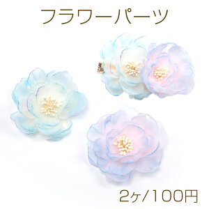 �t�����[�p�[�c ���O �� �����p�[�c �\��t���p�[�c ��7cm�i2���j