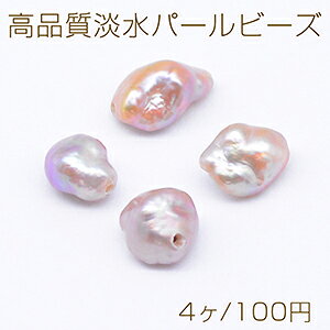 iWp[r[Y No.81 sK^ VRfށy4z