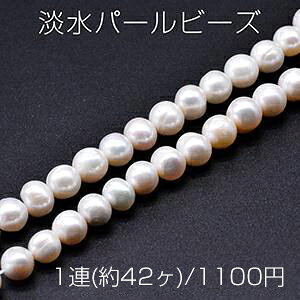 Wp[r[Y sKI[o VRf 8-10mm 1A(42)