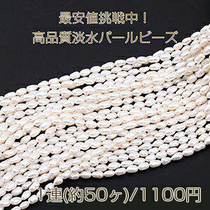 ňl풆IiWp[r[Y sKI[o VRf 4-5mm zCg 1A(50)