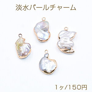 iWp[`[ No.28 sK S[h/O[ Jty1z