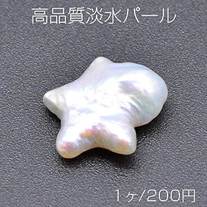 iWp[ No.12 ^  VRfށy1z