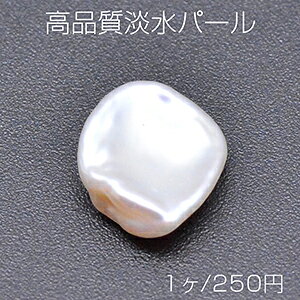 iWp[ No.13 sK^ Ȃ VRfށy1z