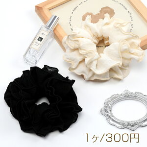 VV ӂ탌[X Vv  wAS wAANZT[  i1j