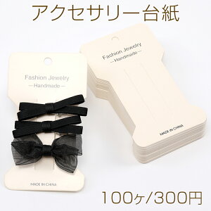 ANZT[䎆 y[p[^O wAANZT[p 6.5×11cm AC{[i100j