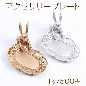 ANZT[v[g e ANZT[[ WG[  ANZT[fBXvCM ANZT[ʐ^Bewii1j[֕s