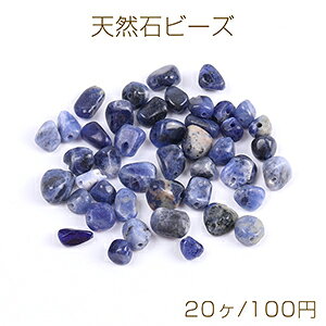 VR΃r[Y VR΂ \[_Cgi20j