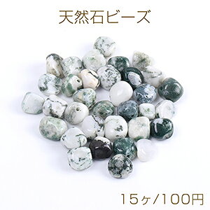 VR΃r[Y VR΂ O[Xg[i15j