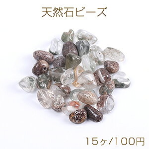 VR΃r[Y VR΂ O[t@gNX^i15j