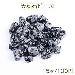 VR΃r[Y VR΂ Xm[t[NXg[i15j