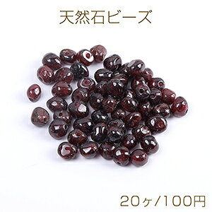 VR΃r[Y VR΂ K[lbgi20j