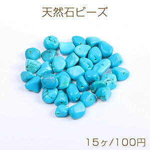 VR΃r[Y VR΂ ^[RCYi15j