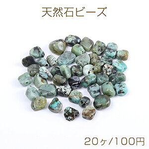 VR΃r[Y VR΂ ^[RCYi20j