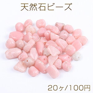 VR΃r[Y VR΂ sNIp[i20j