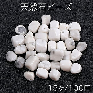 VR΃r[Y VR΂ nECgi15j