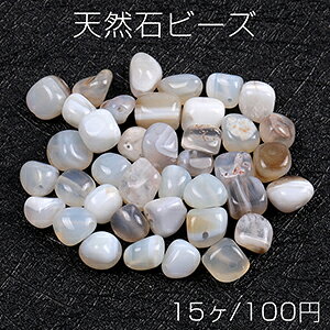 VR΃r[Y VR΂ O[AQ[gi15j