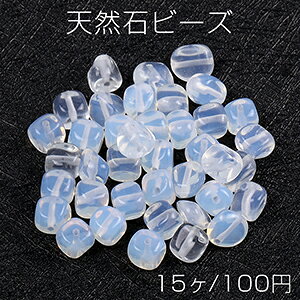 VR΃r[Y VR΂ zCgIp[i15j