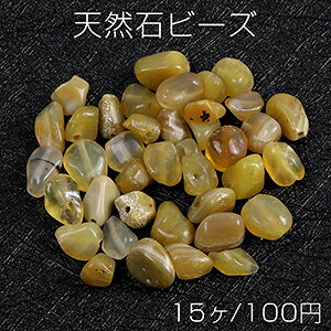 VR΃r[Y VR΂ CG[Xg[i15j