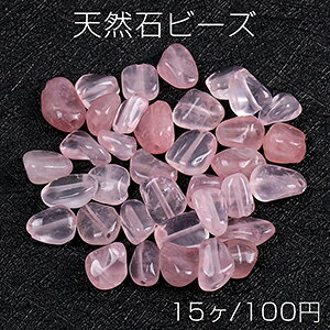 VR΃r[Y VR΂ sNXg[i15j