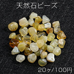 VR΃r[Y VR΂ CG[Ip[i20j