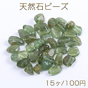 VR΃r[Y VR΂ O[Xg[i15j