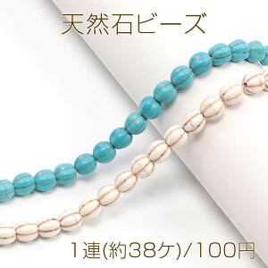 VR΃r[Y AeB[Nr[Y ^[RCYr[Y nECgr[Y ؓJ{`r[Y ی^ A 9mmi1Aj