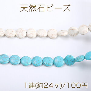 VR΃r[Y nECg ^[RCY RC^ 16mmi1Aj