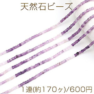 VR΃r[Y AWXg Of[VJ[ L[uʃJbg 2×2mm 1A(170)