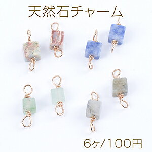 VR΃`[ VR΃RlN^[`[ XNGA^ 2Jt 5×13mm S[hi6j
