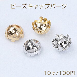 r[YLbvp[c ^ԍp[c  t[`[p[c 12mmi10j