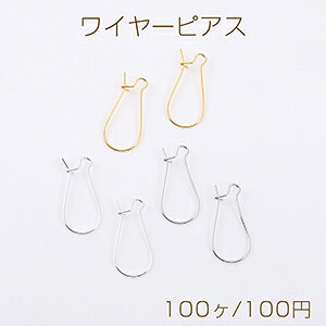 ňl풆ILhj[C[sAX 12×24mmi100j