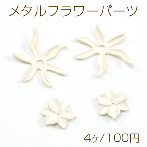 ^t[p[c ԃp[c Ԃтp[c SɌ sAX COɂ hHi4j