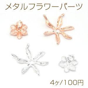 ^t[p[c ԃp[c Ԃтp[c SɌ r[YLbv sAX COɂ߁i4j