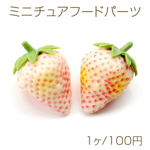 ~j`At[hp[c vX`bN HiTv\tp[c fR[Vp[c  29×45mmi1j