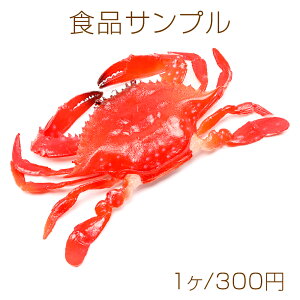 HiTv HiTvL[z_[`[ ~j`At[h nI`[ vX`bN Jt 10×17cmi1j