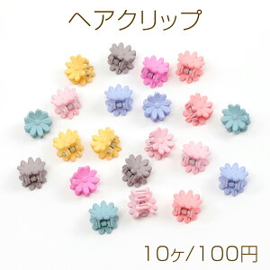 wANbv ~jNbv J[~bNX ~jfCW[ 12.5×13.5mmi10j