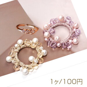 wAS Rbgp[r[Y ANr[Y ʃJbg    ߁i1j