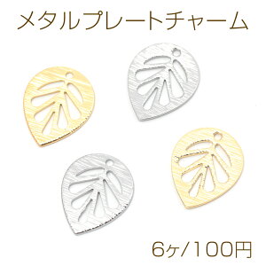 ^v[g`[  uVH [t t ^p[c ^`[ 1 11×14mmi6j