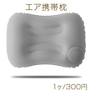 GAgі 蓮|v C s@ AEghA s gxs[ 490×320×100mmi1j
