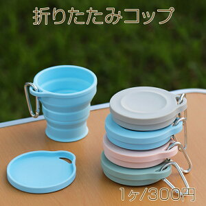 ܂肽݃Rbv VR WJrit gїpJbv H {E AEghA hЃObY Lv si1j