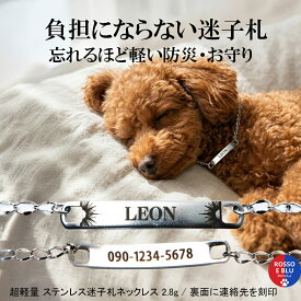 迷子札 犬 軽い 首輪ハゲ 皮膚炎 室内用 ネックレス チョーカー 軽量 ステンレス 304 つけっぱなし 丈夫 さびない 防災 迷子防止 連絡先 刻印 名入れ 名前入り ネームプレート ドッグネックレス ネームタグ 小型犬 中型犬 猫 耐水 鎖 ペア 犬 首飾り お揃い おしゃれ 母の日