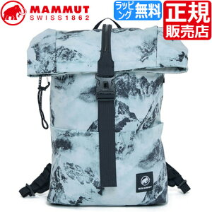 �y���b�s���O�����z �}���[�g �����b�N ���K�̔��X MAMMUT Xeron 2.0 JE 15L ���{���� �����b�N�T�b�N �o�b�N�p�b�N �ʋ� �ʊw �r�W�l�X ���ꂢ�� ���s �y�� ��w�� ��l �Љ�l �����Y ���f�B�[�X 