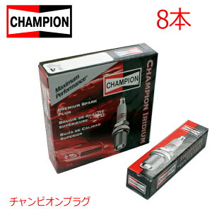 y[֑z CHAMPION `sI CWE vO 9007 Y K[[ JS12 8{ 22401P8315