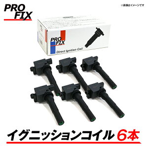 �y���������z PROFIX �v���t�B�b�N�X 6�{ �C�O�j�b�V���� �R�C�� PIG-H001-2 �z���_ �C���X�p�C�A UA4 30520-P8E-S01