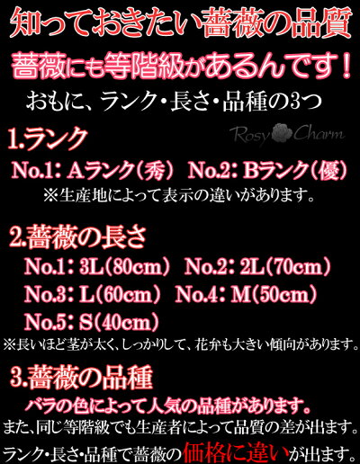 薔薇の品質について