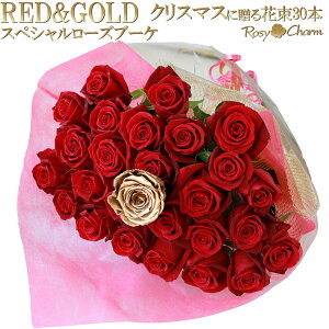 ỏԑ yXyV[Yu[Pz iS[hbhj 30{ F̃o {  KN ԑ a v[g v|[Y  LO җ j 蕨 F 1{ vU[uht