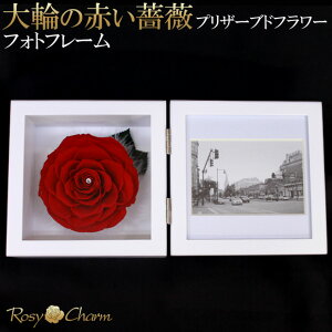  Ԃo ytHgt[z vU[uht[ KN 1 ʐ^ a v[g  LO   җ ސE j  o 蕨 v|[Y ͂Ȃ    