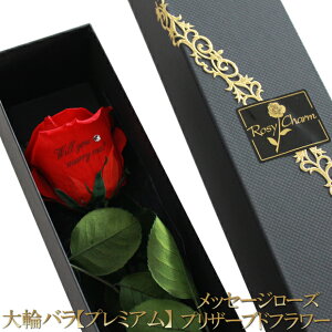 プレミアム メッセージローズ プリザーブドフラワー 大輪 赤いバラ 1本 誕生日 プレゼント プロポーズ 結婚 記念日 卒業 還暦 お祝いに贈る 薔薇1輪 花束 メッセージ入り 枯れない 花 一輪 珍
