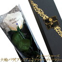 大輪 白いバラ 1本 プレミアム メッセージローズ プリザーブドフラワー 誕生日 プレゼント プロポーズ 記念日 結婚 お祝い 卒業 退職 薔薇 1輪 花束 メッセージ入り 枯れない花 一本 珍しい メッセージフラワー おしゃれ 箱入り 高級 バラ 一輪 フラワーギフト 【白いバラ】